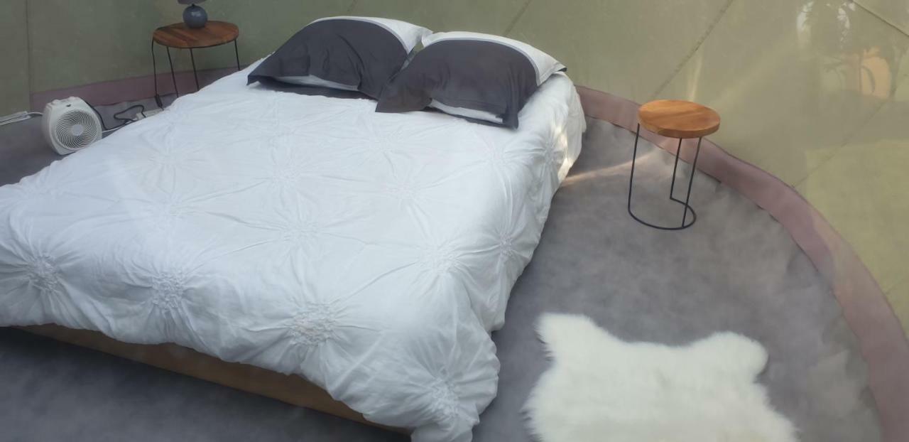 Hotel Aux Oliviers Homps  Zewnętrze zdjęcie